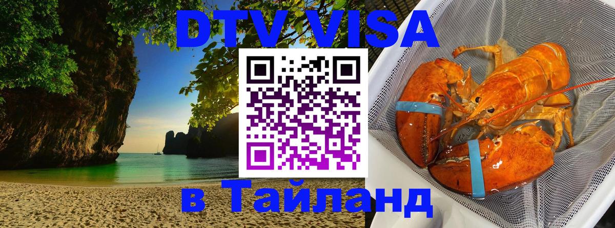Сколько стоит DTV виза — актуальные цены, оформление даже без документов - 